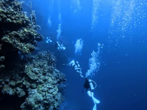 End of the World