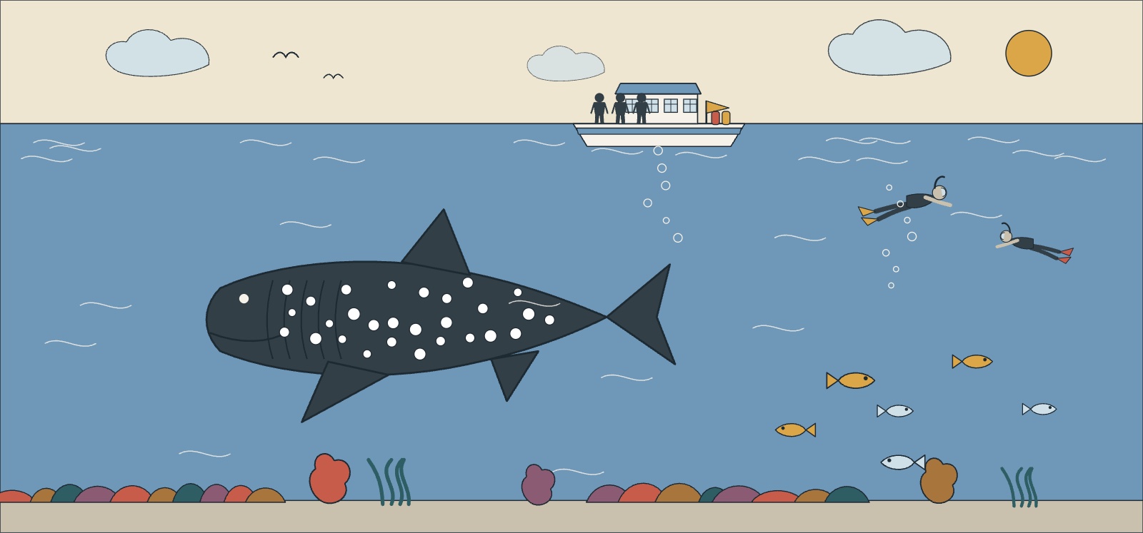 Illustration of a whale shark off Utila with snorkellers at a distance and a dive boat above