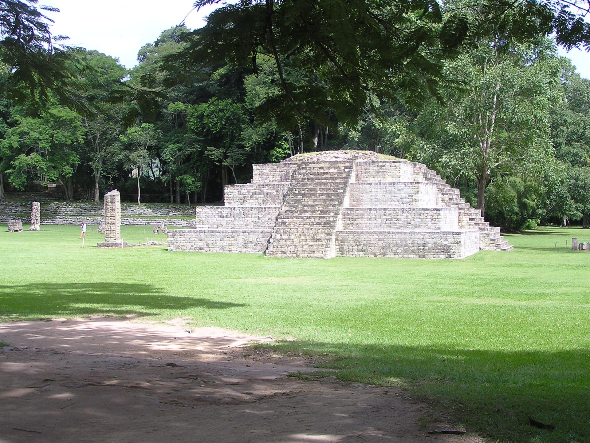 Carved stelae standing on the Great Plaza at the Maya site of Copan, Honduras